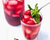 VARIETY PACK ICED TEA FILTERS - Puretea