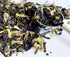 BLUE JASMINE - LOOSE LEAF - Puretea