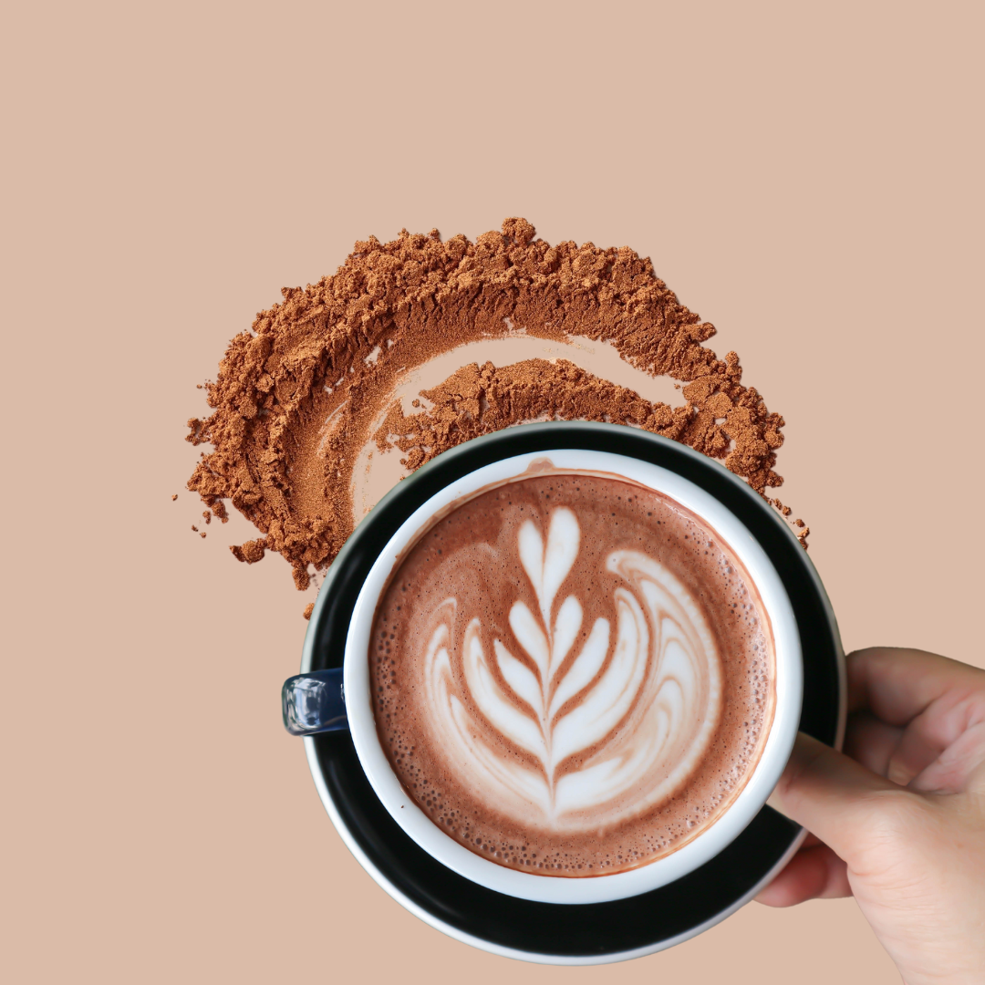 BRAINSTORM COCOA - CHOCOLAT CHAUD FONCTIONNEL